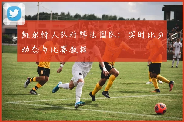 凯尔特人队对阵法国队:实时比分动态与比赛数据